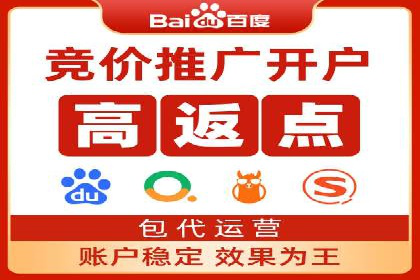 SEM推广代运营公司：实战案例解析